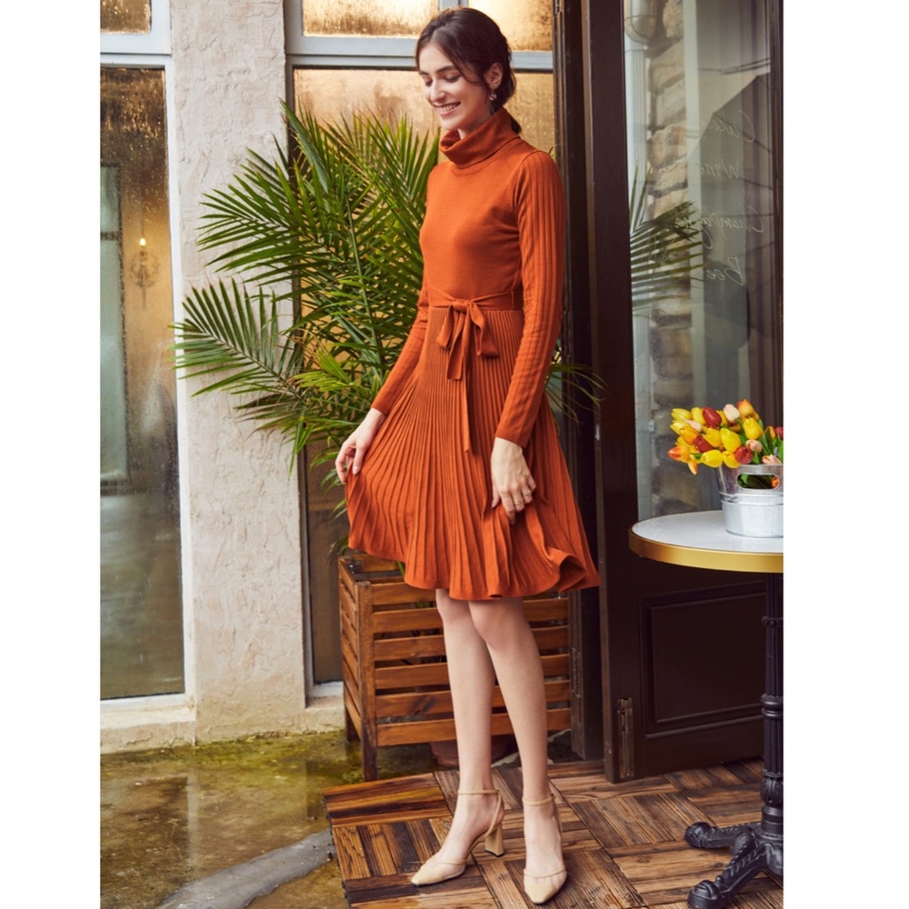 Pumpkin Orange Turtleneck Knit Belted Dress - Picture 11 of 16
